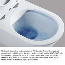 Obrázek k výrobku 20989 - WC závěsné, RIMLESS, 530x355x360, keramické, vč. sedátka CSS113S
